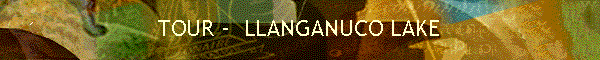 laguna de llanganuco _en